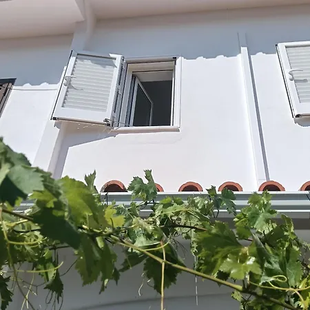 Les Roses Quartos Jardim E Montanha Gæstehus 3*