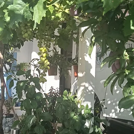 Les Roses Quartos Jardim E Montanha Gæstehus